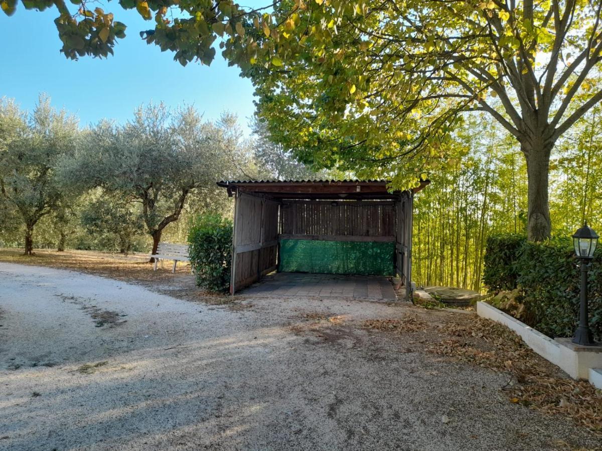 8380 Il Tiglio Verde مانشانو المظهر الخارجي الصورة